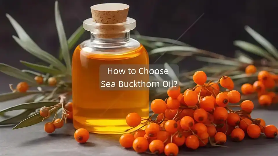 How to Choose Sea Buckthorn Oil?
